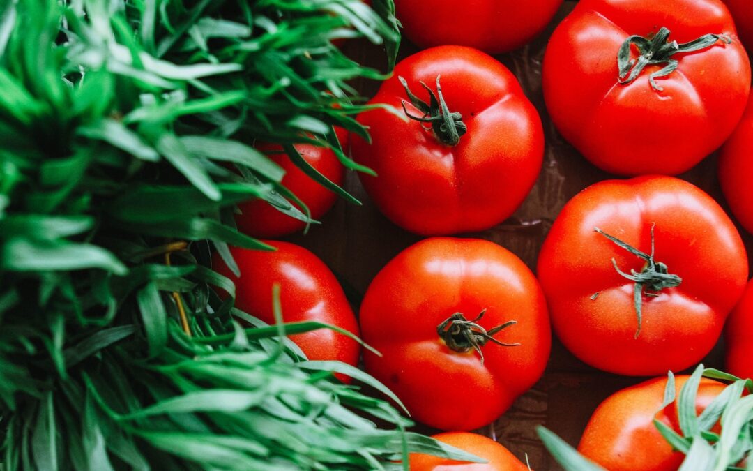 Impulsando la Dulzura Natural: Cómo los Brasinoesteroides Potencian la Producción de Caña de Azúcar